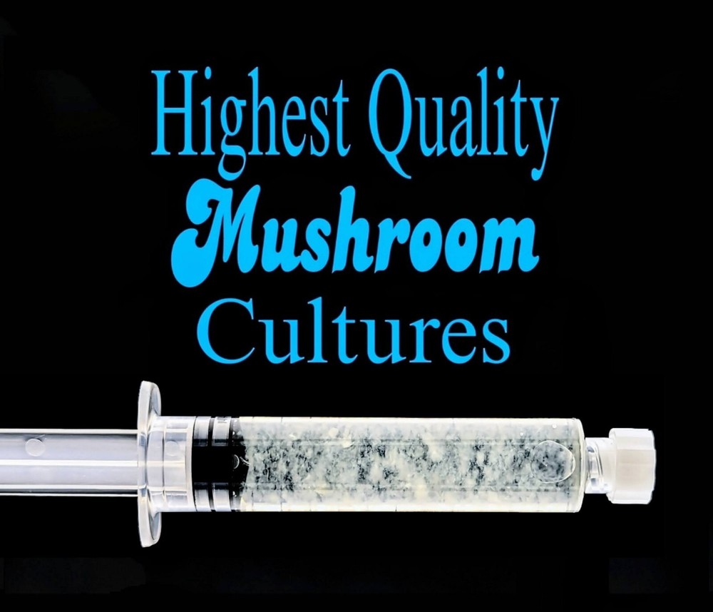Gourmet Mushroom Culture Special! Over 180 Species Available at PrimeFungi