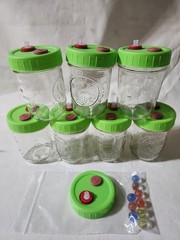 6oz Mycology Mushroom Liquid Culture Jars Set of 7 with Lids