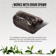 3qt Sterilized Substrate for Mushroom Growing