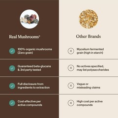 5 Defenders Mushroom Complex – Functional Mushrooms Extract from Chaga, Shiit…