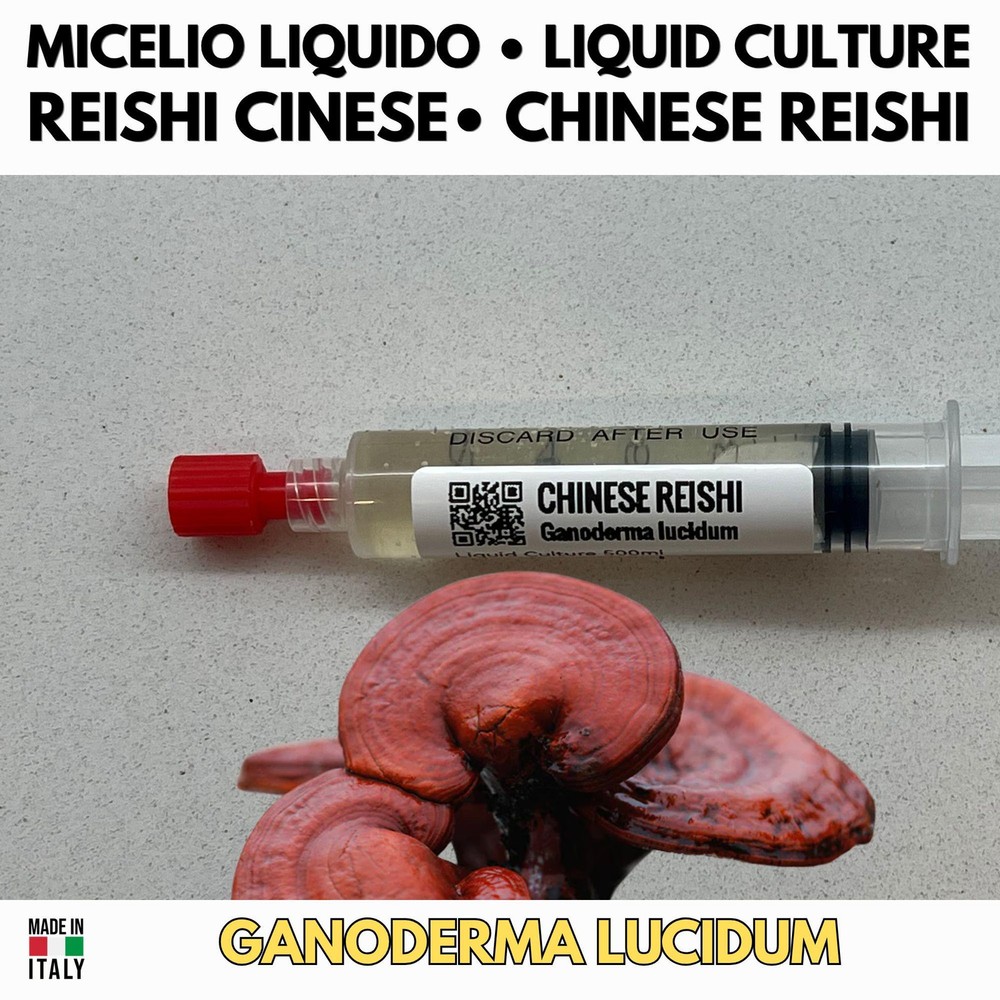 Reishi Chinese Liquid Culture Ganoderma Lucidum Mycelium Live 10ml