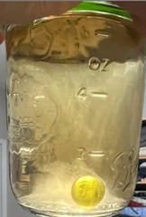 Mushroom Culture Solution – Mushroom Liquid Culture Jar – Regular Mouth