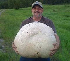 Giant Puffball Mushroom – Garden Grow Kit – Organic – Spores
