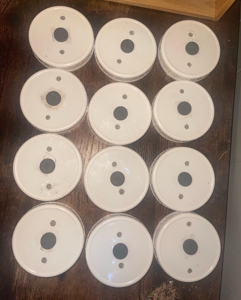 6 Liquid Culture Mason Jar Lids Wide Mouth for Mycology, 2 Injection Ports Each