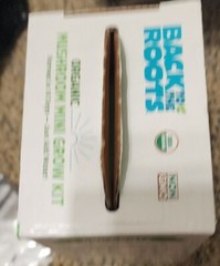 Back to the Roots Organic Mini Mushroom Grow Kit, Harvest Gourmet