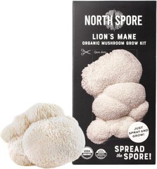 USDA Organic Lion’s Mane Spray & Grow Kit – Easy 4 lbs Mushroom Cultivation
