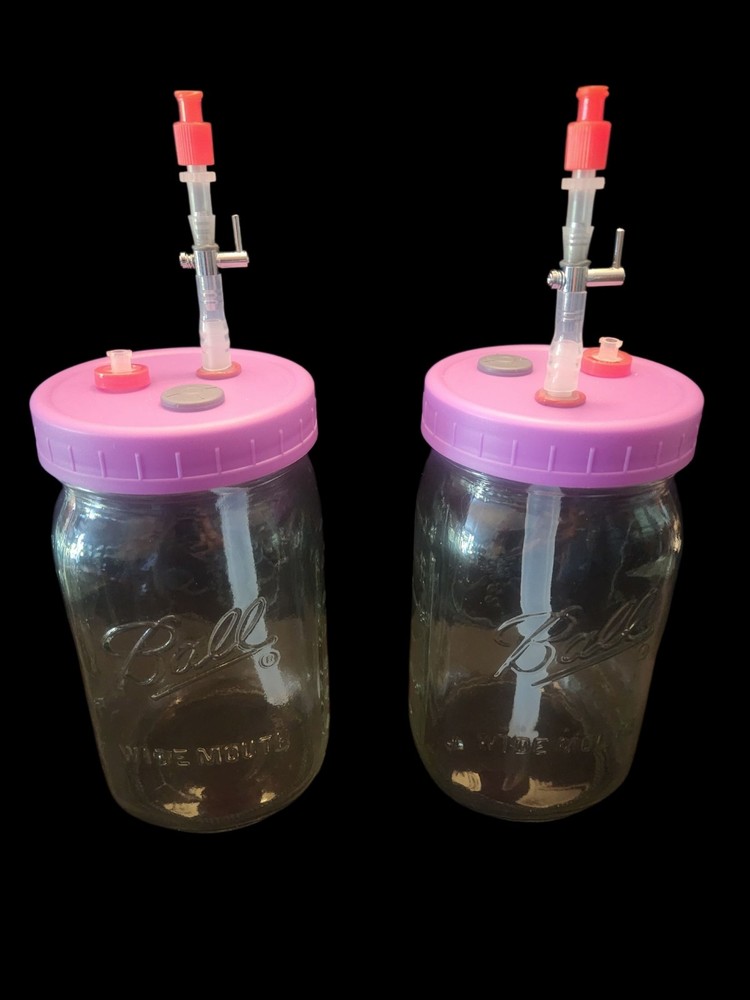 Mushroom Liquid Culture Luer Lock Extraction System,Wide Mouth, One Set of 2