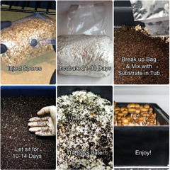Mushroom Monotub Grow Kit | Complete Mushroom Grow Kit | for Dung-Loving Mushroo