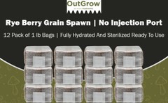 12-Pack Sterilized Rye Berry Grain Spawn – 1 lb Bags (No Injection Ports)
