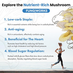 Organic Edible 4lbs Golden Oyster Mushroom Growing Kit, Made in USA, Double-Side