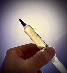 Chestnut – Pholiota adiposa – Mycelium Syringe
