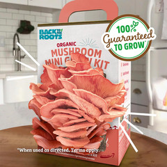 Organic Pink Miniature Mushroom Grow Kit, Harvest Gourmet Mushrooms in 10 Days