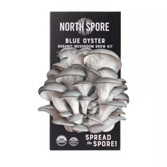 Organic Blue Oyster Mushroom Spray & Grow Kit