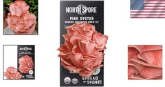 Beginner-Friendly Pink Oyster Mushroom Grow Kit – Just Spray & Watch Them Grow!