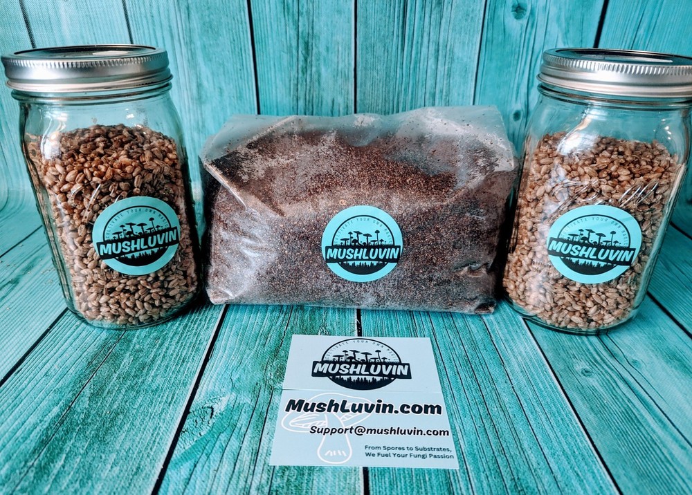 Monotub Refill – Sterile Rye Mushroom Grain Spawn Jars and 4.5 lbs. Substrate🍄