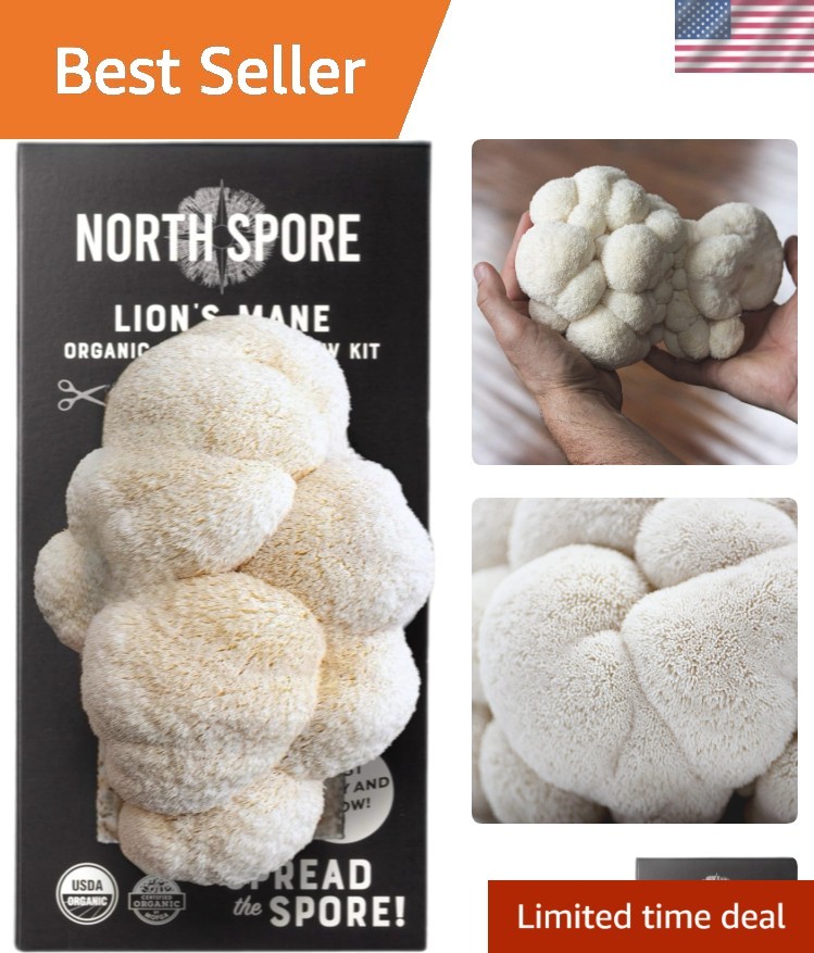 4lb Organic Lion’s Mane Mushroom Spray & Grow Kit – -Round Gourmet Delight