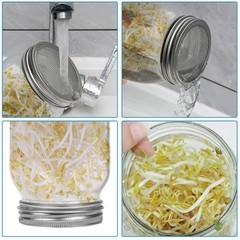 Lulonpon 2pcs Sprouts Growing Jar Kit Wide Mouth Quart Mason Jars with Stainless