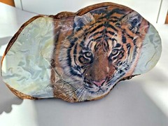 vtg bengal tiger Conk Shelf MUSHROOM Folk Art retro cat tree fungus decoupage