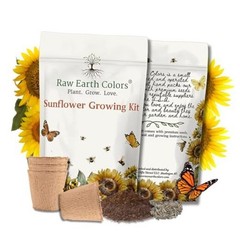 Sunflower Grow Kit with Mammoth Flower Seeds for Planting!