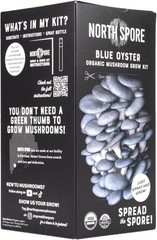 Organic Blue Oyster Mushroom Spray & Grow Kit 4 lb | Beginner Friendly & Easy…