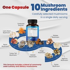10 in 1 High Strength Mushroom Supplement – Lions Mane, Cordyceps, Reishi – Brai