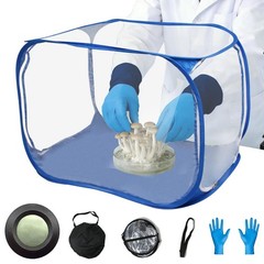 Portable Still Air Box for Mycology – Pop Up Mushroom Growing Kit, Ideal for Cul