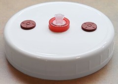 6 Liquid Culture Mason Jar Lids Wide Mouth for Mycology, 2 Injection Ports Each