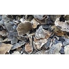 Dried Turkey Tail Mushrooms – 16 oz, Wild Crafted, GMO Free, Sustainably