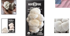 USDA Organic Lion’s Mane Spray & Grow Kit – Easy 4 lbs Mushroom Cultivation