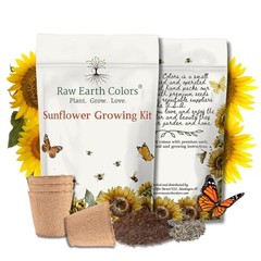 Sunflower Grow Kit with Mammoth Flower Seeds for Planting!