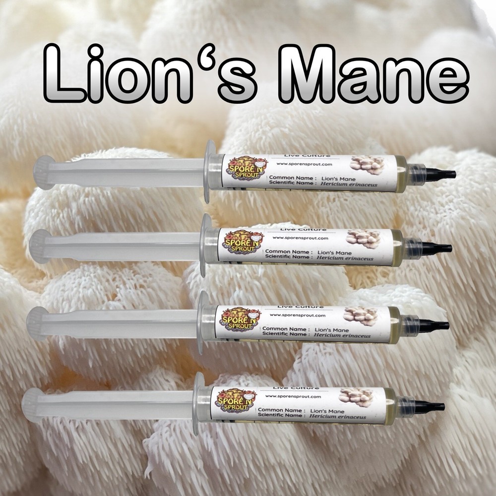 4 Pack Lions Mane Gourmet Mushroom Liquid Culture
