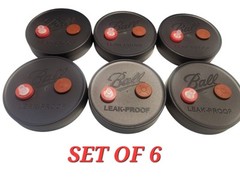 Mushroom Liquid Culture JAR LIDS, BALL Brand, Set of 6, Wide Mouth