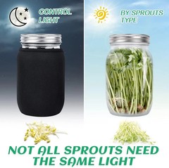 Seed Sprouting Jar Kit 2 Wide Mouth Mason Jars with Mesh Lids for Microgreens