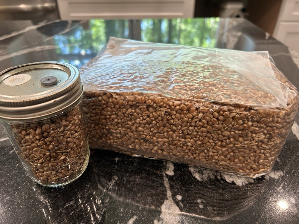 Grain Spawn Bag & Jar Combo – Inoculate, Expand, & Scale