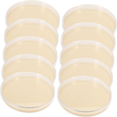 Agar Plates 10Pcs Nutrient Agar Plate Toy Tools Glass Mushroom Tools Prepoured P
