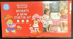 Strawberry Shortcake Decorate & Grow Starter Kit for Kids – Brand New in Box