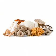 Organic Lion’s Mane Mushroom Grow Kit – Beginner Friendly – Guaranteed to Grow