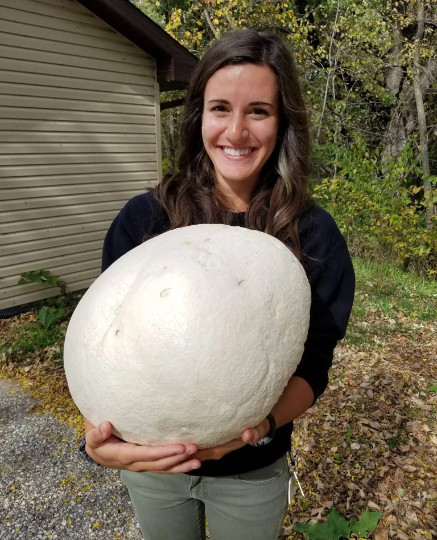 GIANT PUFFBALL MUSHROOM GROWING KIT. OVER 1 BILLION SPORES – Calvatia gigantea!
