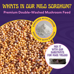 8 LB Monotub Refill Kit | Incl: 3 LB Sterilized Milo Grain Spawn & 5 LB CVG Sub