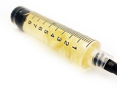Turkey Tail Mushroom Liquid Fungi Culture 10ml