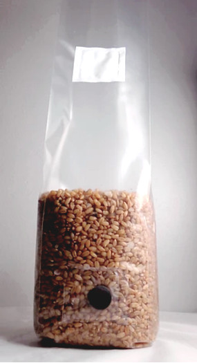 Lot of 4 1.5LB Sterilized Rye Berry Spawn Mushroom Bags With Injection Port