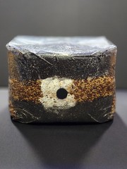 “Black Gold” 6LB All-in-One Compost/Dung Grow Block: Grain Spawn & Substrate