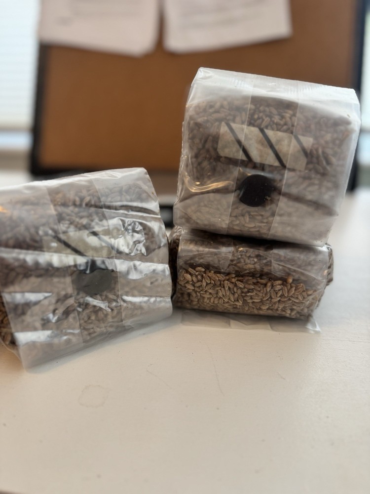 3 Pack Sterile Grain Bags For Growing Mushrooms