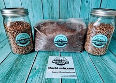 Mushroom Grow Kit: 15-Quart Monotub, Sterile Rye Grain, and Substrate🍄