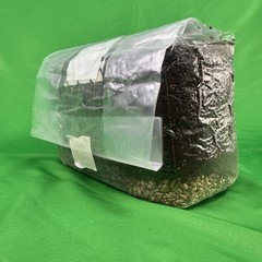X4 AIO Mushroom Grow Bags – Inj Port, 12 lbs
