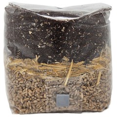 8 X All In One Mushroom Grow Bags