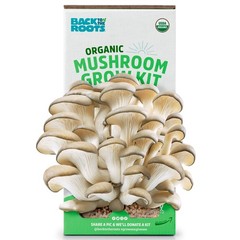 Organic Mushroom Grow Kit Indoor Gourmet Mushrooms All Year Round Easy to Use