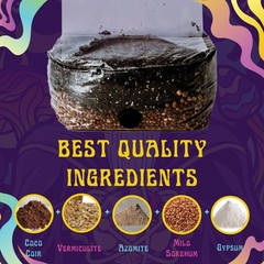 2 LB Mushroom Grow Bag – Nutrient-Enhanced, Injection Port, Easy Spore Growing!