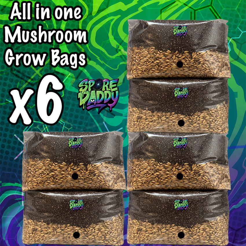 Mushroom Grow Bag | 6 Pack | 4 lbs | Manure Substrate/Hydrated Oats