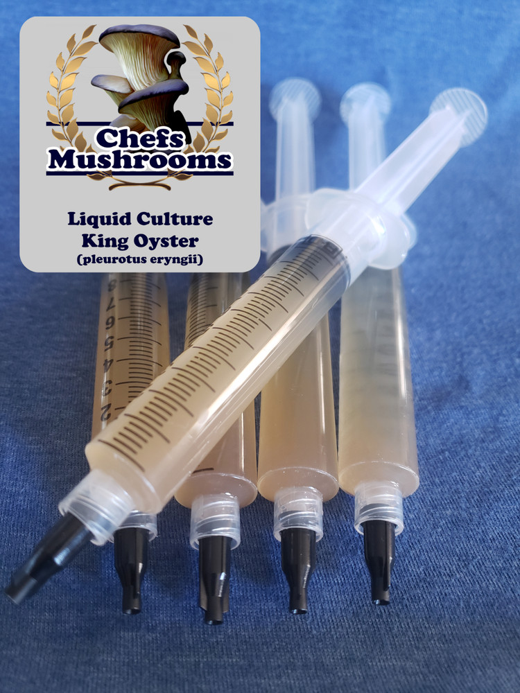 King Oyster Liquid Culture – 12cc Syringe – 5 Pack – Chefs Mushrooms